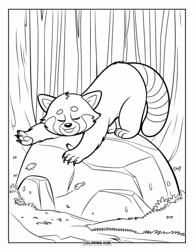 Coloriage de panda roux pour enfants : Un panda roux perché sur un rocher moussu s'étire les yeux fermés