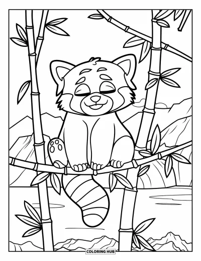 Coloriage de panda roux pour enfants : Un panda roux sommeille sur une branche entourée de bambous et de lianes