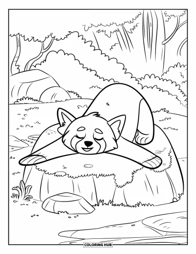 Coloriage de panda roux pour enfants : Un panda roux somnolent étire ses pattes sur un rocher moussu