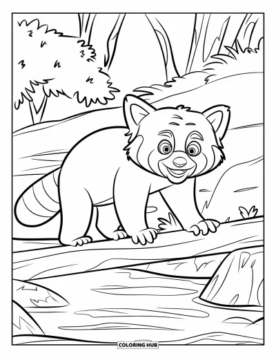 Coloriage de panda roux pour enfants : Un panda roux aux grands yeux se stabilise sur un chemin de rondins rocheux