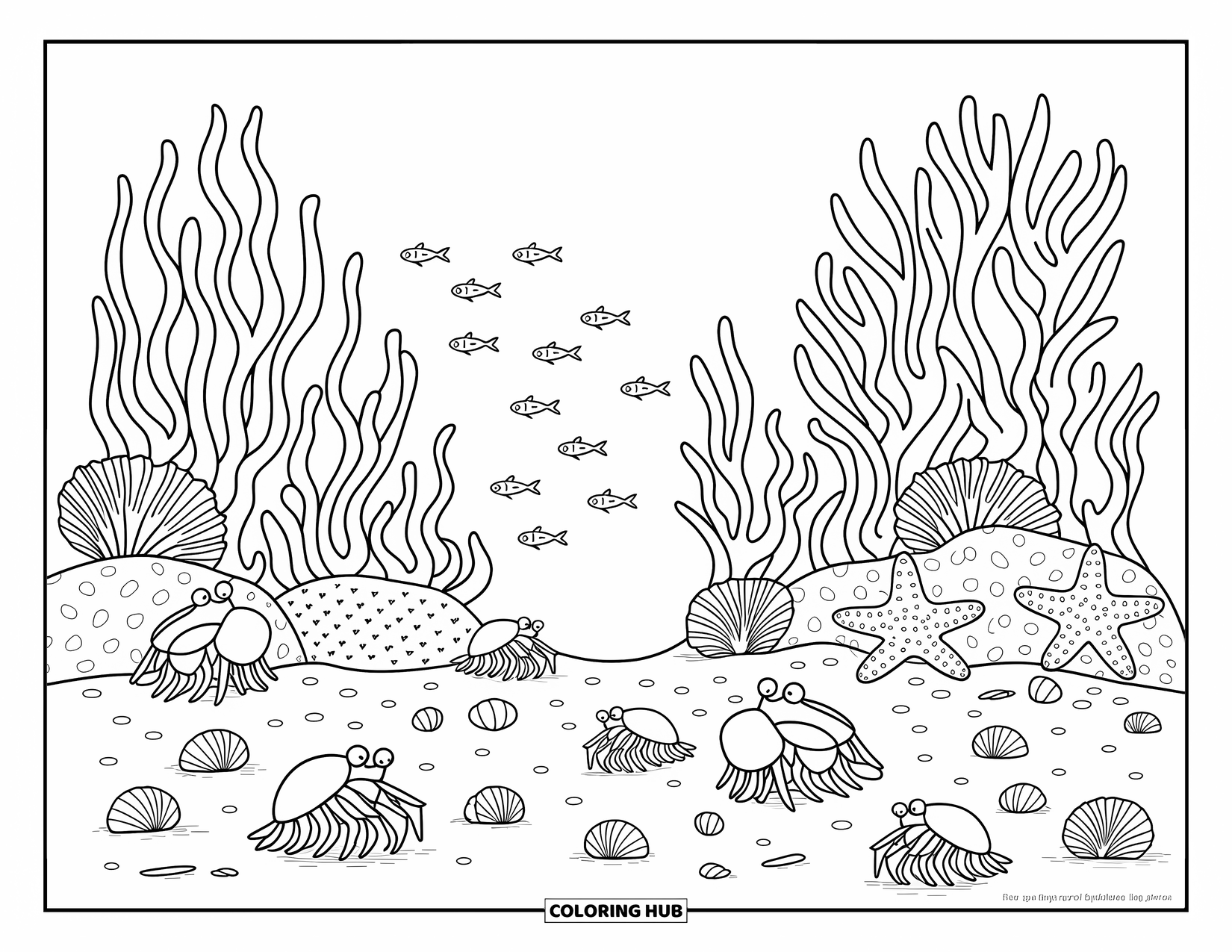 Sea Coloring Page for Adults: Hermit crabs, starfish, and fish fill a sandy seabed with coral