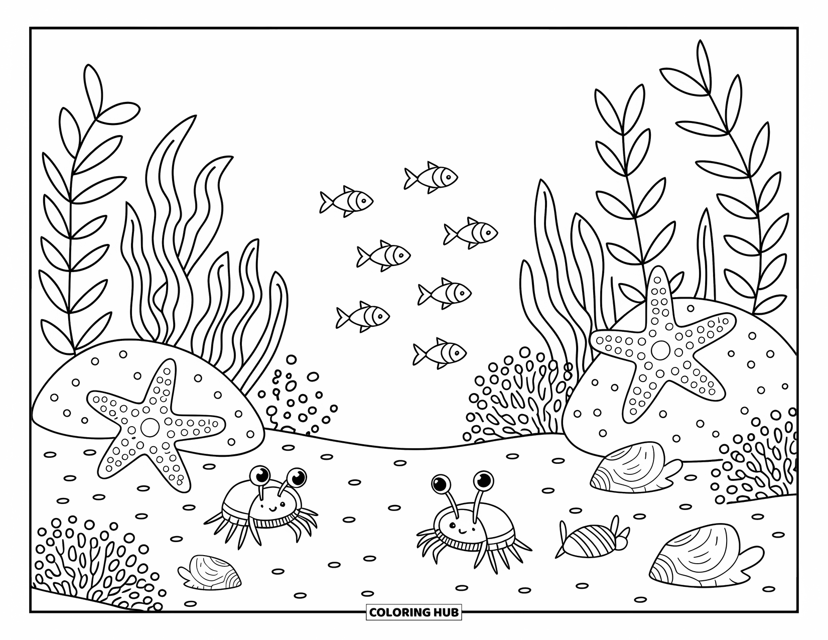 Sea Coloring Page for Adults: Seabed scene with hermit crabs, starfish, shells, and tall kelp leaves