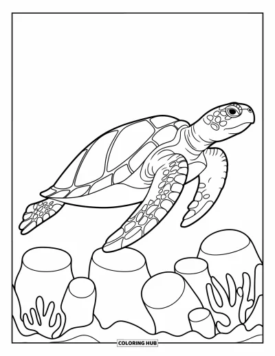 Desenho do mar para colorir para crianças: Tartaruga marinha deslizando sobre leito de coral com contornos marcantes