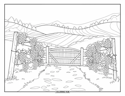 Coloriage d'Espagne pour enfants : Un chemin de vignoble bordé de ceps mène à un portail arrondi et à des collines ondulantes