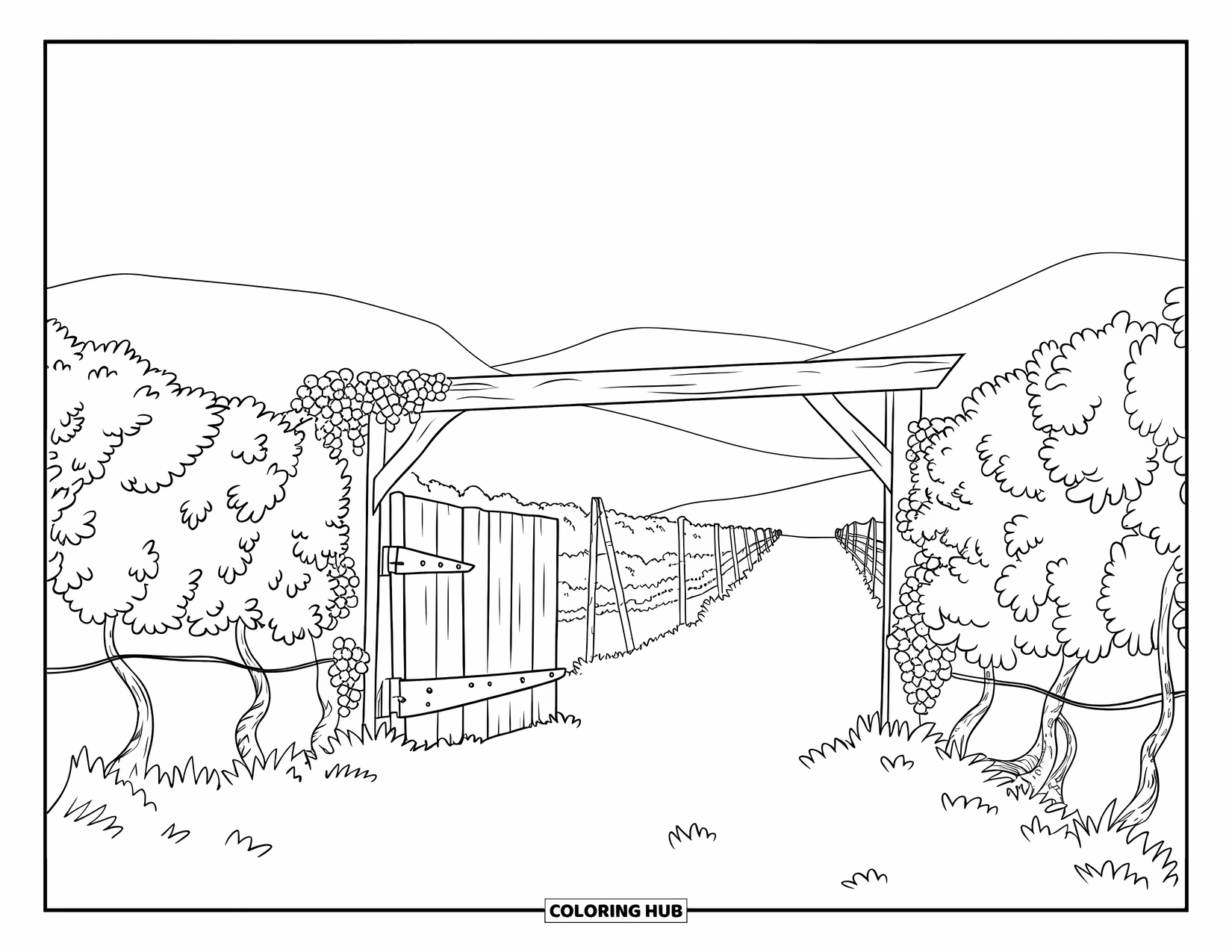 Spain Coloring Page for Kids: Grapevines line a winding path leading to a gate covered in climbing vines