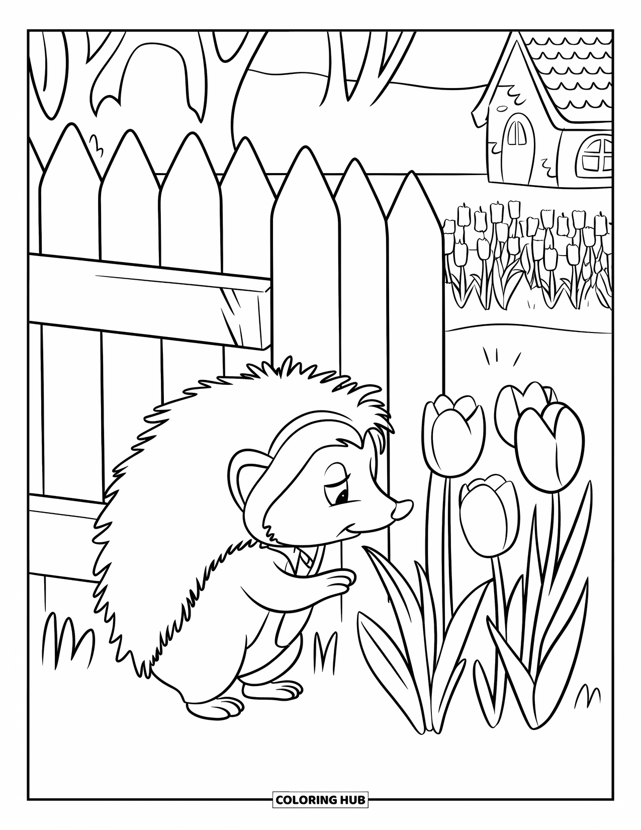 Spring Animal Coloring Page for Kids: Hedgehog in a red hat sniffs tulips in front of a spring cottage