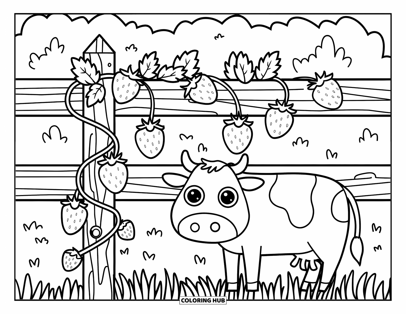 Strawberry Cow Coloring Page for Kids: Cow near a rustic fence wrapped in strawberry vines