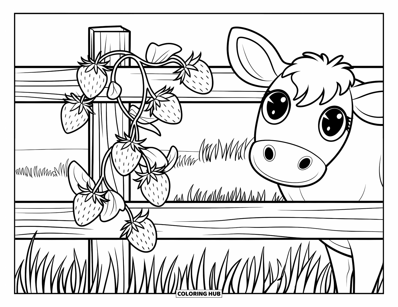 Strawberry Cow Coloring Page for Kids: Strawberry vine wrapping a fence with a cow standing close