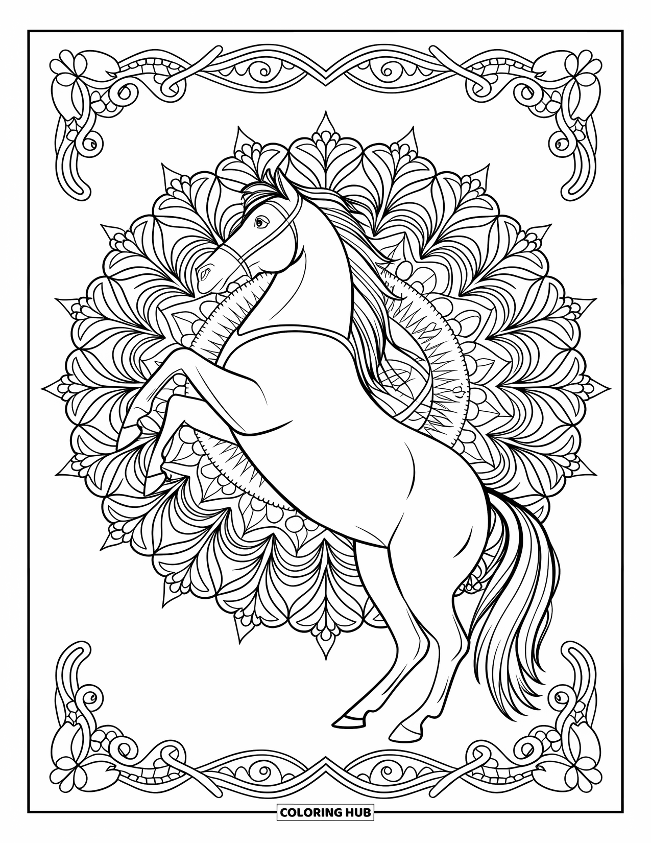 Western Horse Coloring Page for Adults: Horse rearing inside a botanical mandala with swirls and floral motifs