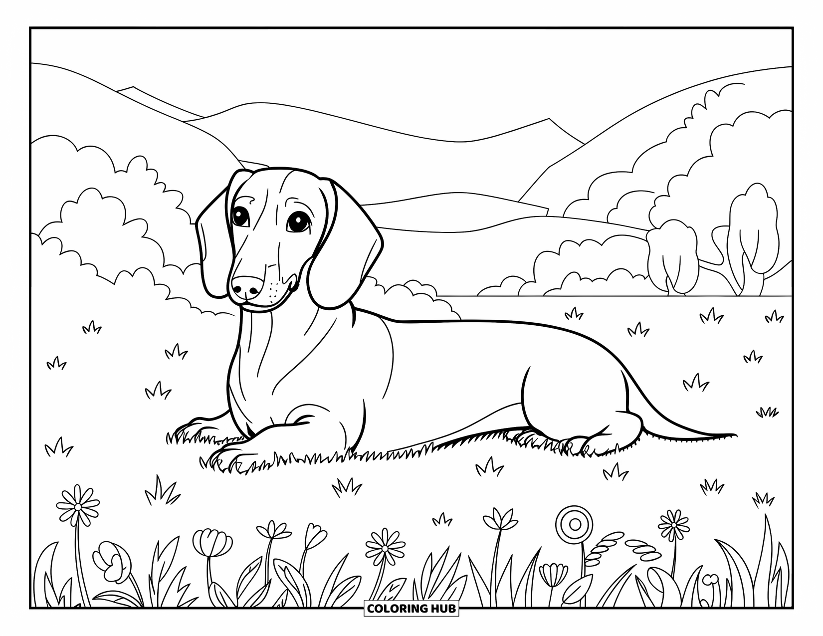 Wiener Dog Coloring Page for Adults: Wiener dog lying in a grassy field with flowers, trees, and mountains behind