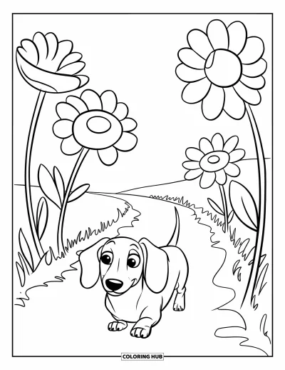 Wiener Dog Coloring Page for Kids: Cheerful wiener dog walking along a wide flower path