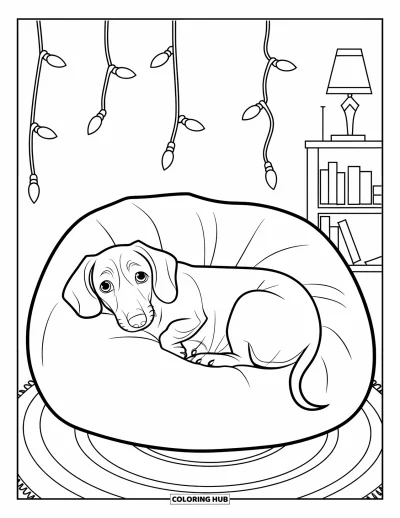 Wiener Dog Coloring Page for Kids: Wiener dog curled up on a bean bag chair with fairy lights above