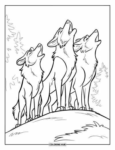 Wolfsrudel-Ausmalbild für Kinder: Drei Wölfe heulen zusammen auf einem Grashügel