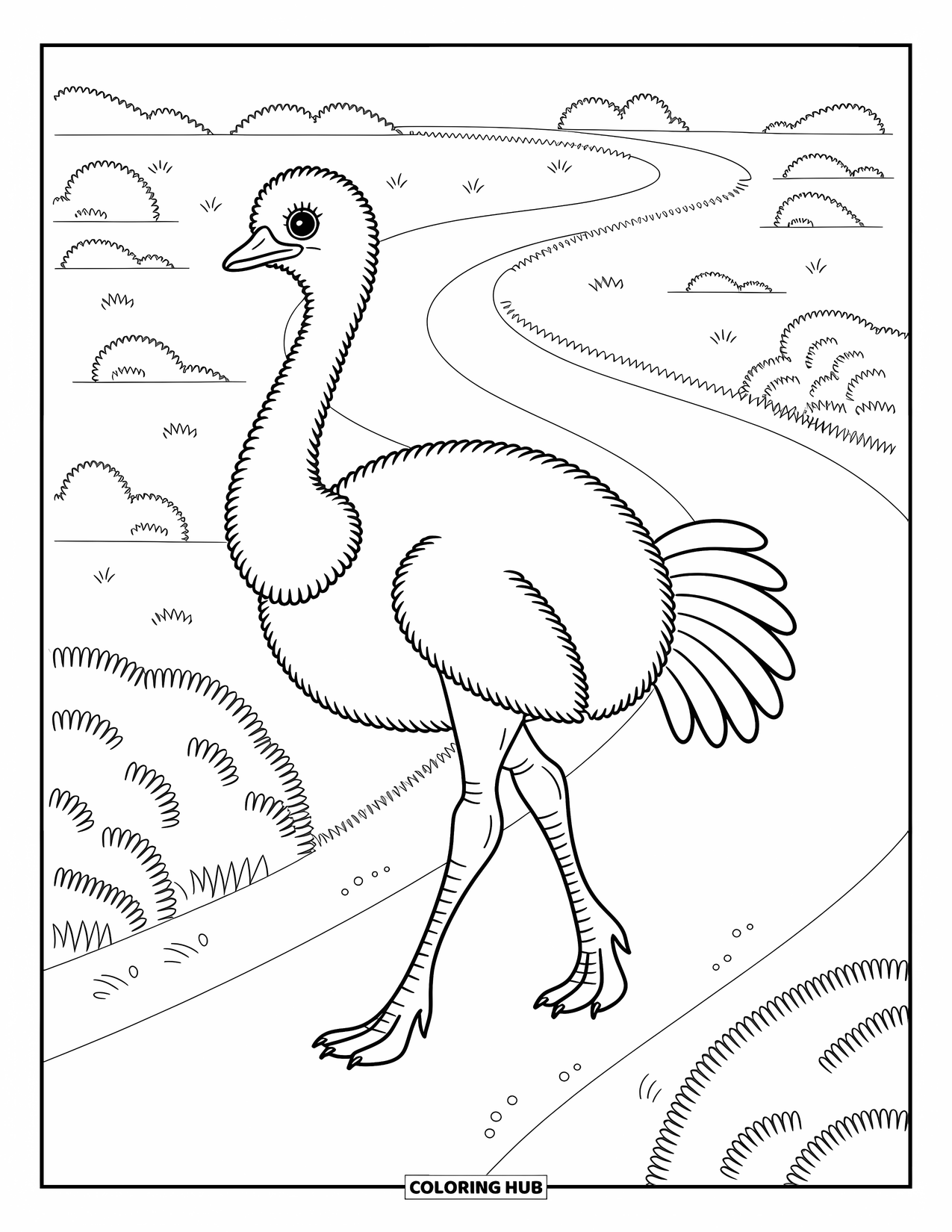 African Animals Coloring Page for Adults: A fluffy ostrich walks calmly down a sandy trail lined with dry bushes and shrubs