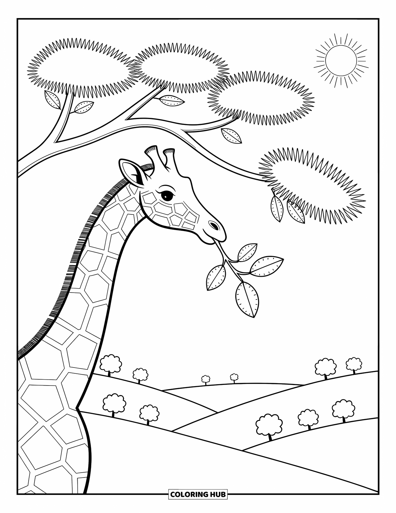 African Animals Coloring Page for Adults: A giraffe reaches up to snack on a leafy acacia branch under warm sunlight