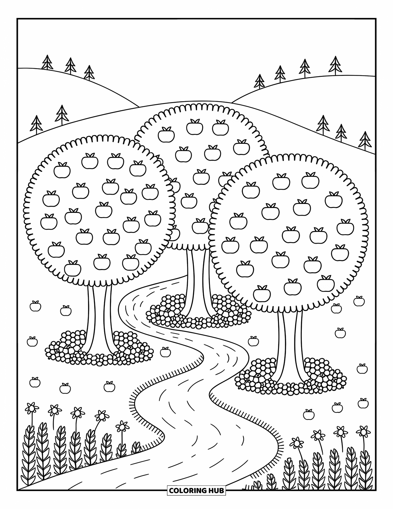 Apple Tree Coloring Page for Adults: A path winds through apple trees in a peaceful orchard with gentle hills