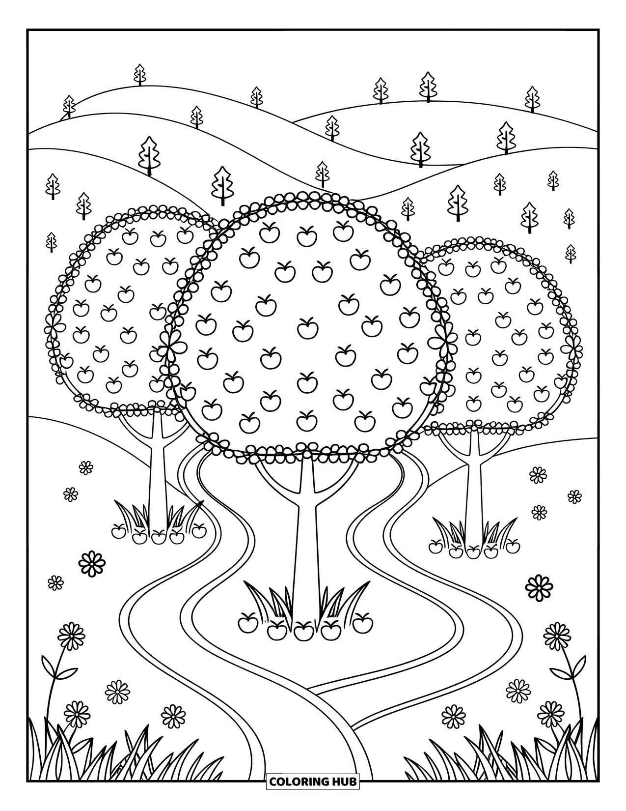 Apple Tree Coloring Page for Adults: Three apple trees in a row line a path with scattered apples and grass
