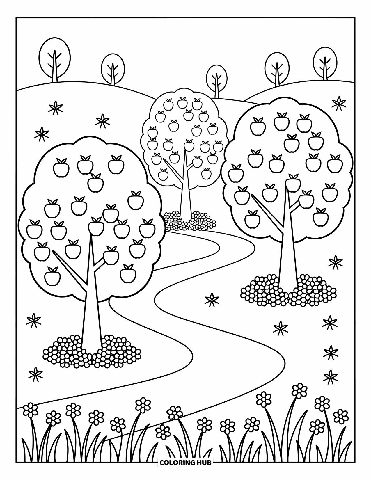 Apple Tree Coloring Page for Adults: Three round-crowned trees dot a path lined with grass, apples, and wildflowers