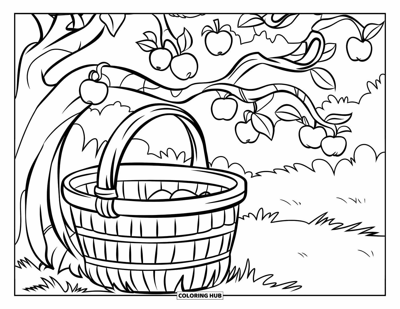 Apple Tree Coloring Page for Kids: A big basket waits below an apple tree ready to catch falling apples