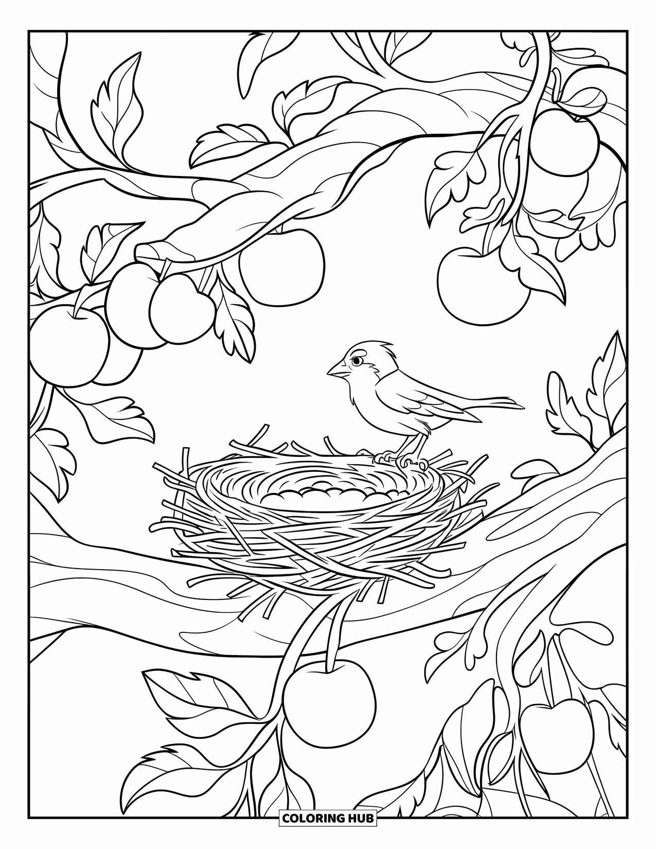 Apple Tree Coloring Page for Kids: A bird watches its nest in a quiet apple tree under a clear sky