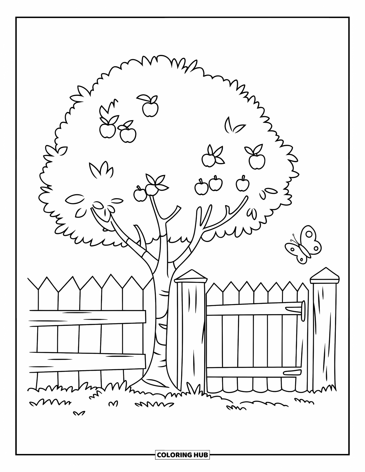 Apple Tree Coloring Page for Kids: A butterfly hovers near a small apple tree beside a grassy fence
