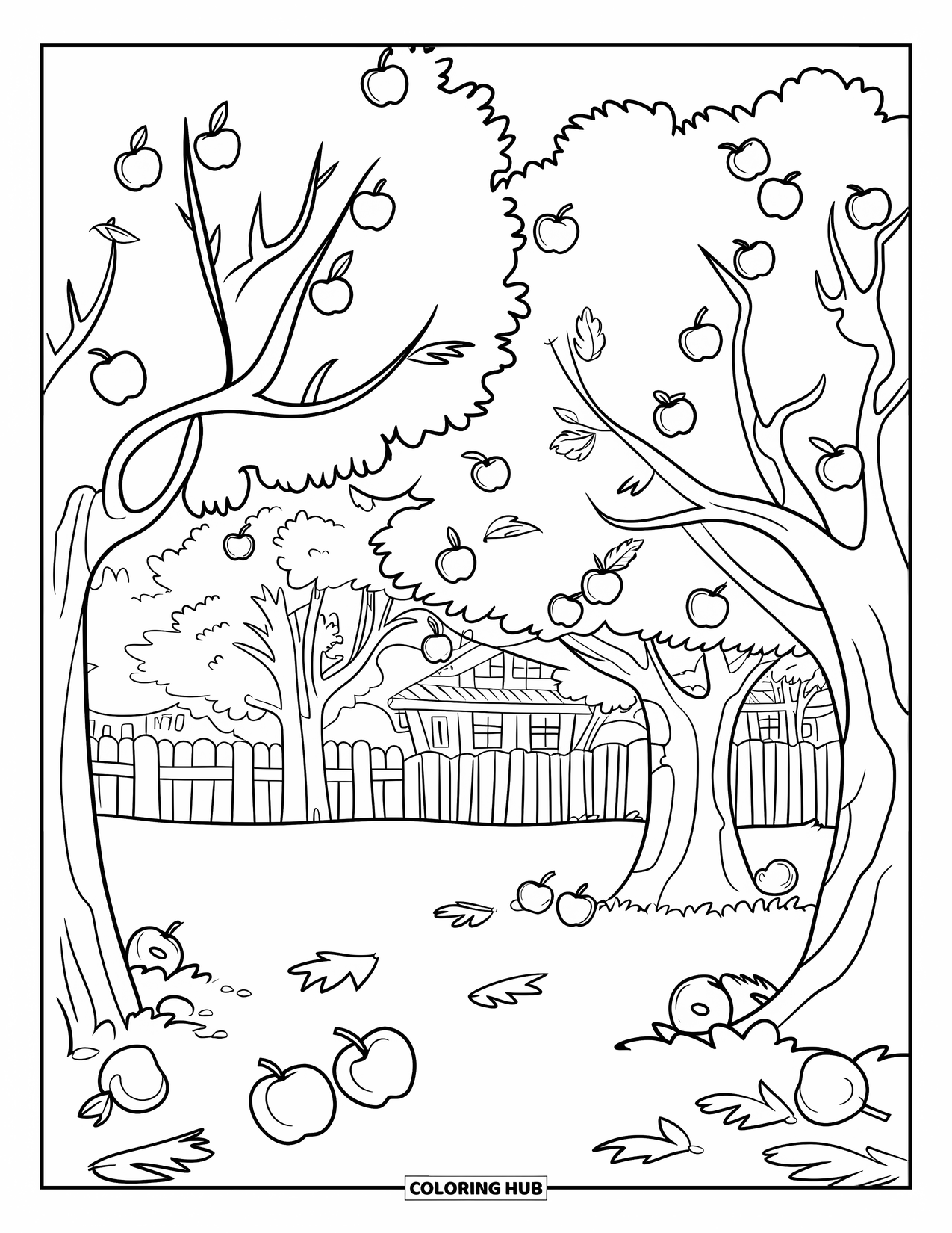 Apple Tree Coloring Page for Kids: Apple trees drop leaves and fruit in a quiet orchard near a fence