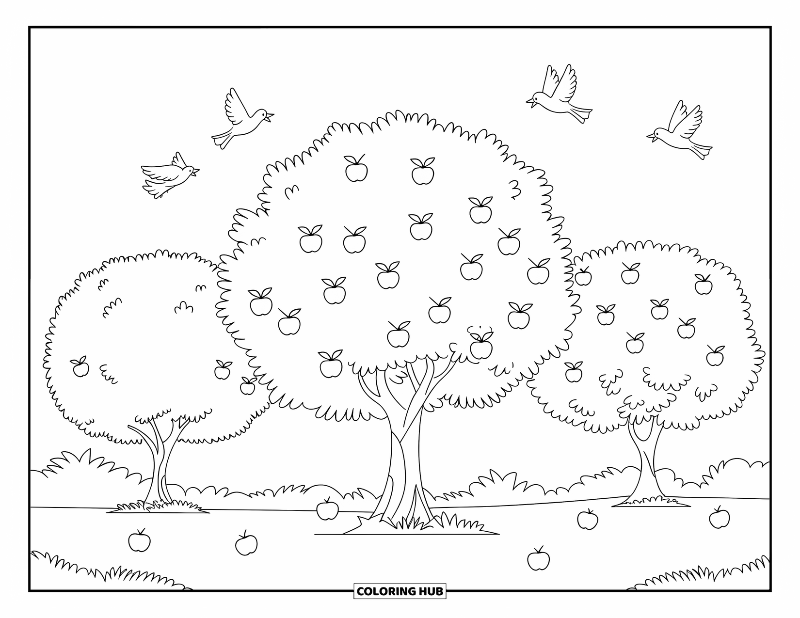Apple Tree Coloring Page for Kids: Birds fly above three apple trees with fruit scattered on the ground