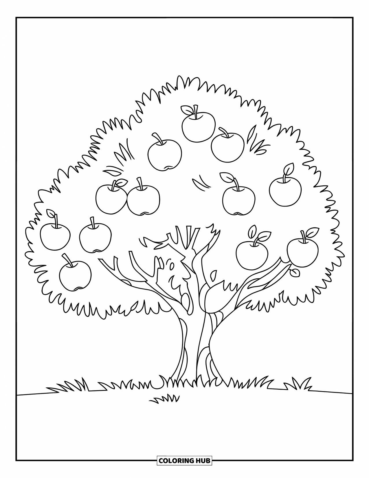 Apple Tree Coloring Page for Kids: One apple tree stands in the grass with round apples and leafy branches
