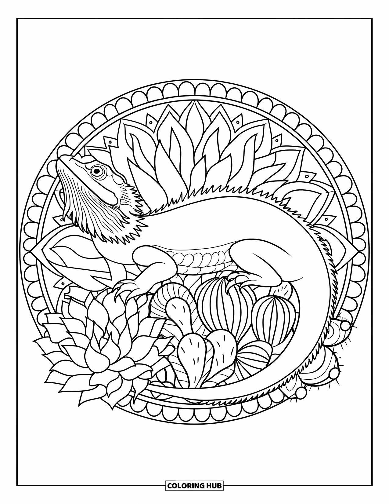 Bearded Dragon Coloring Page for Adults: A bearded dragon curls inside a round mandala filled with succulents and cacti