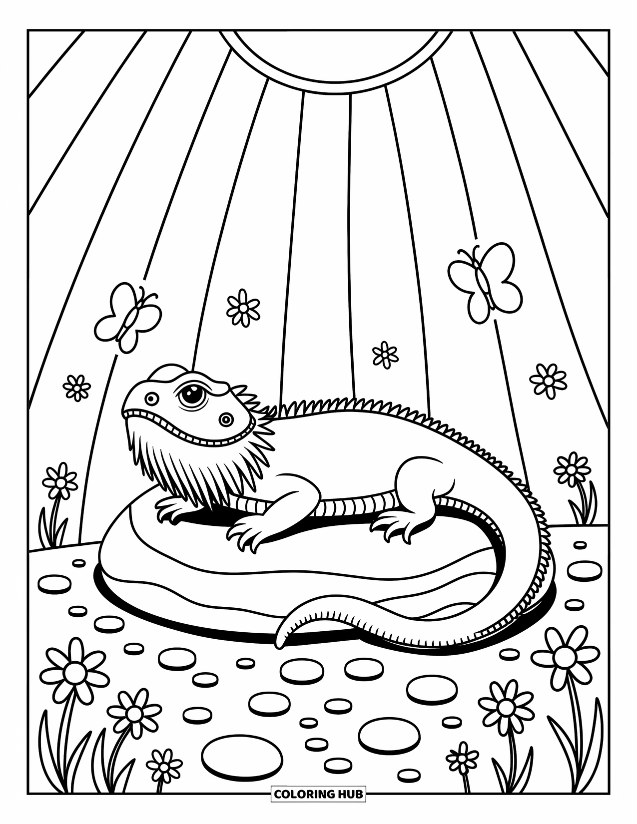 Bearded Dragon Coloring Page for Adults: A dragon rests on a sunny rock with daisies, clovers, and two butterflies