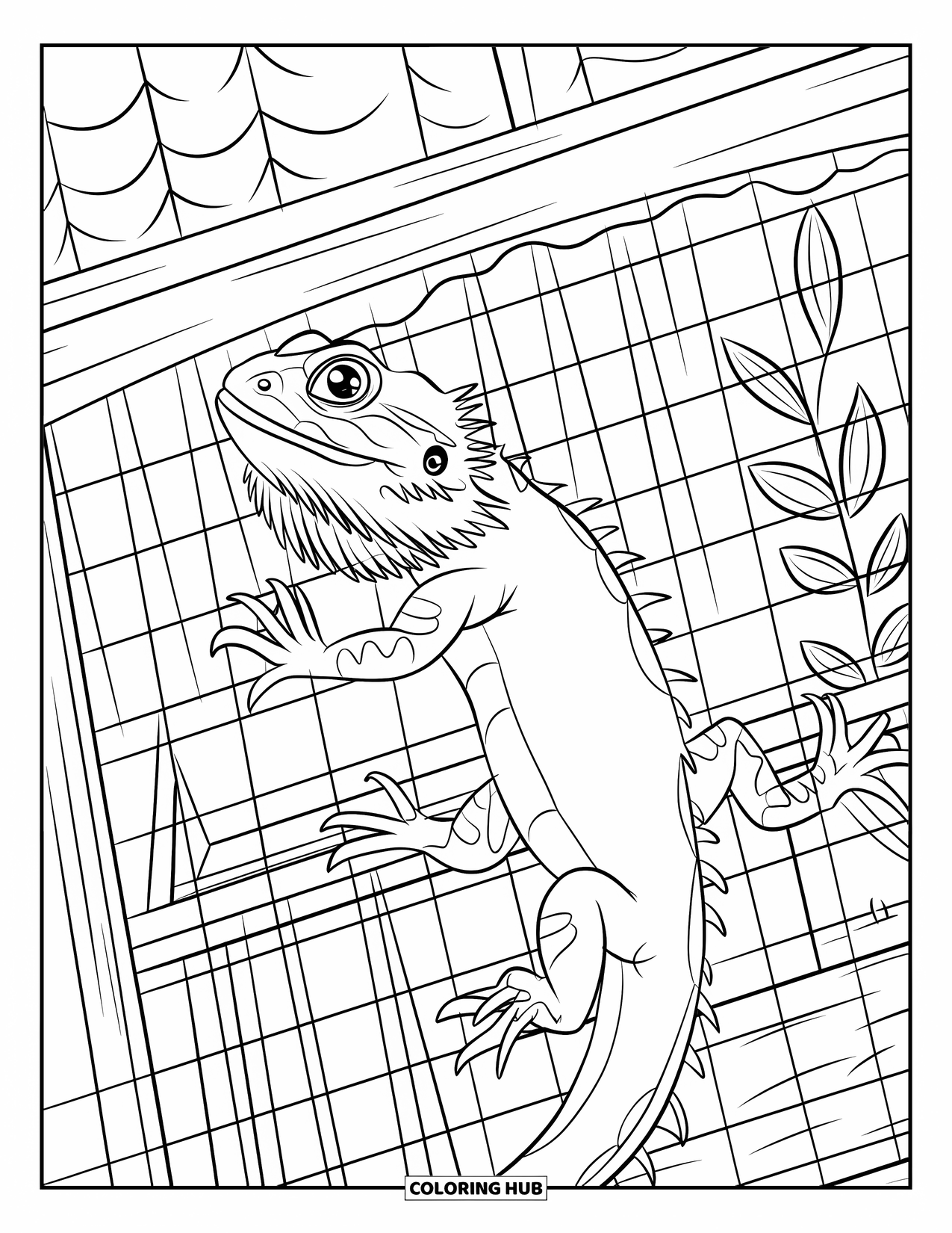 Bearded Dragon Coloring Page for Kids: A bearded dragon climbs mesh in a terrarium near a shelf and curtains