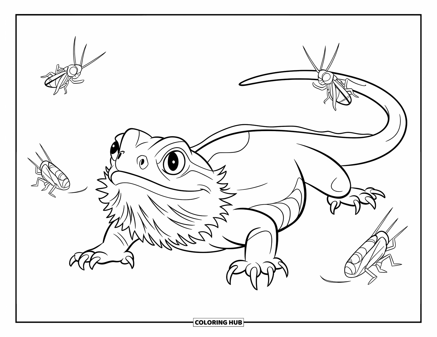 Bearded Dragon Coloring Page for Kids: A bearded dragon crouches, ready to pounce, with crickets hopping nearby