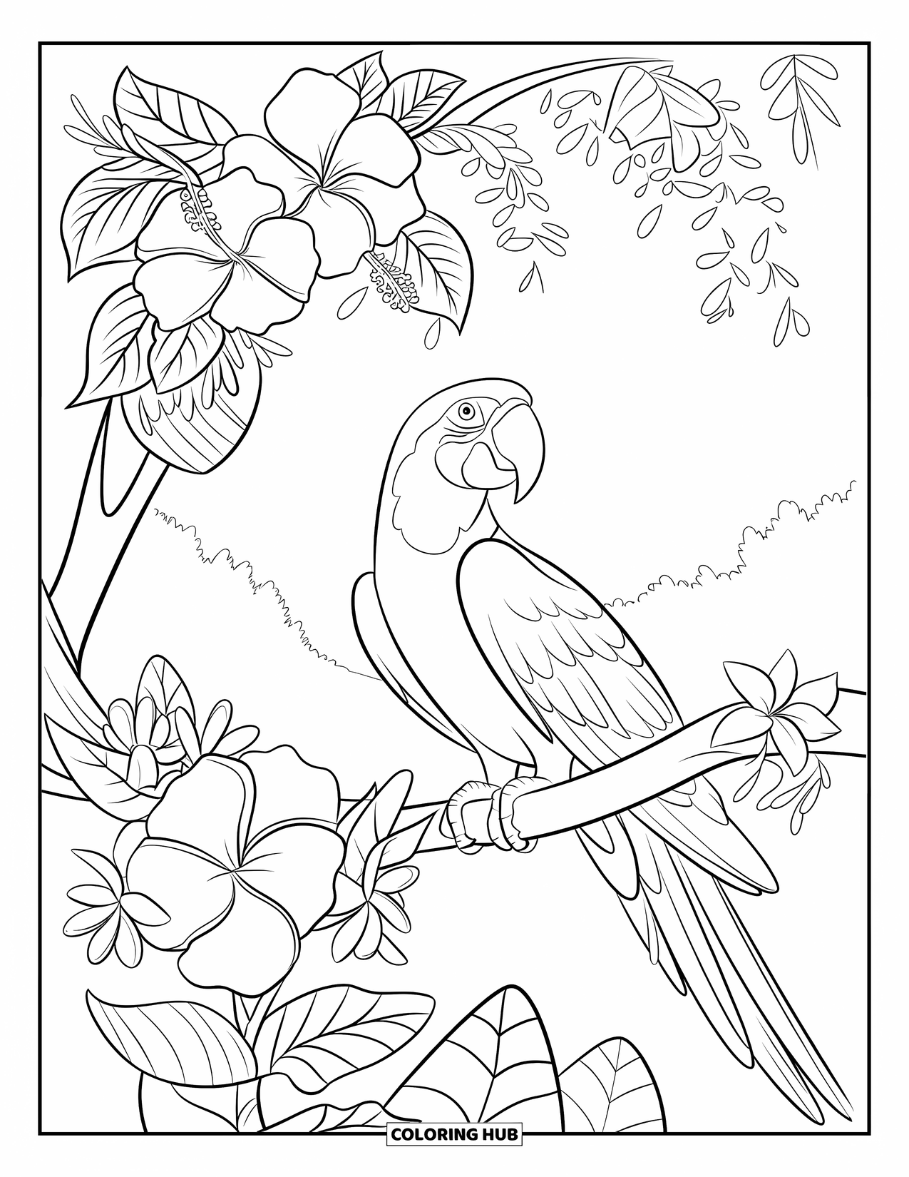 Brazil Coloring Page for Kids: A macaw rests among hibiscus blooms and curling leaves