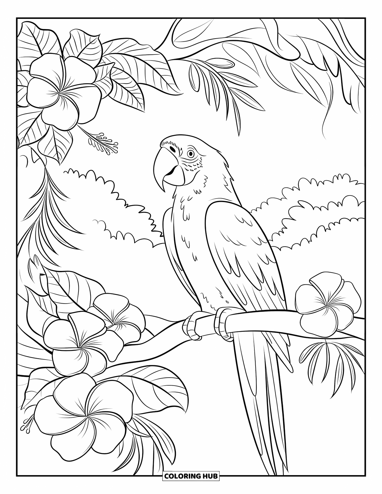 Brazil Coloring Page for Kids: A macaw sits proudly on a flowered branch in the rainforest