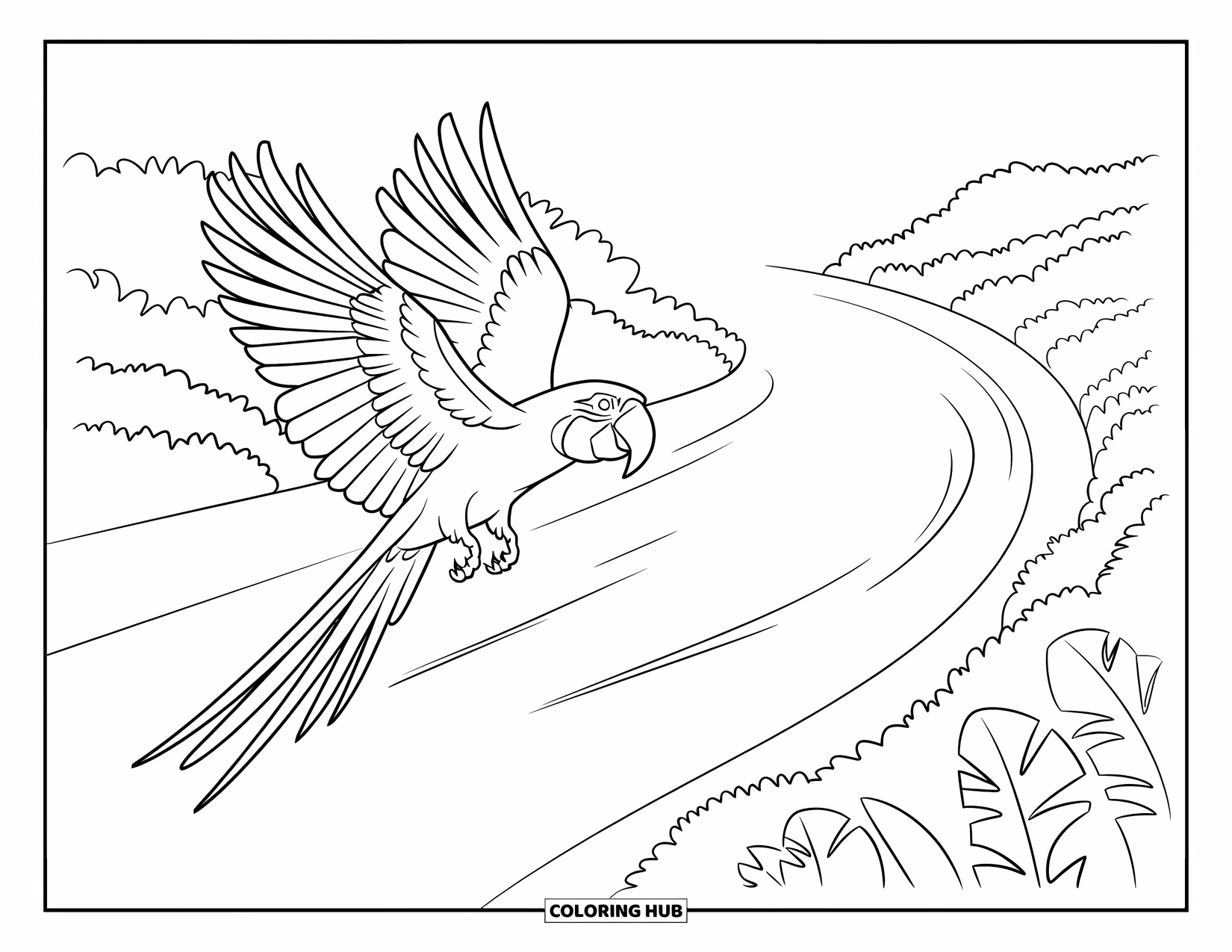 Brazil Coloring Page for Kids: A macaw spreads its wings above the wide Amazon River