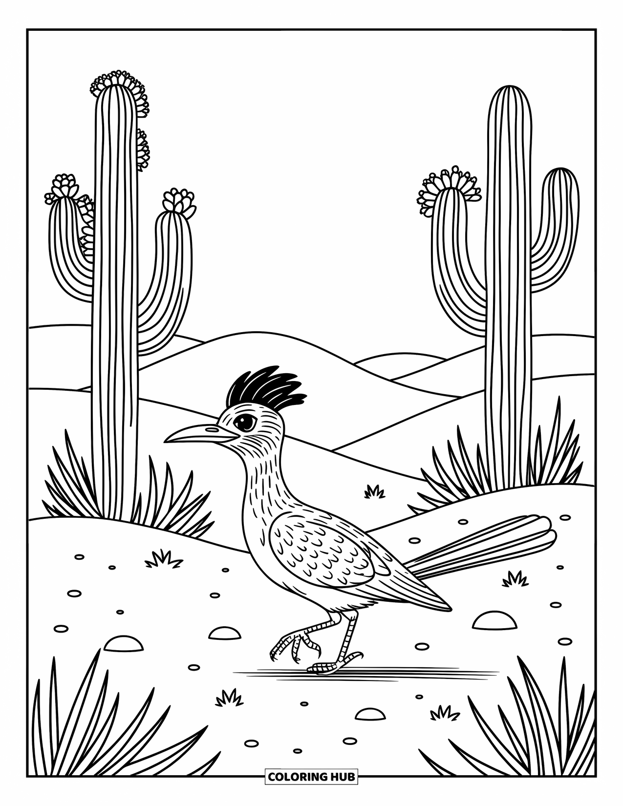 Desert Animals Coloring Page for Adults: Roadrunner mid-step with saguaro cacti, flowers, and hazy desert horizon