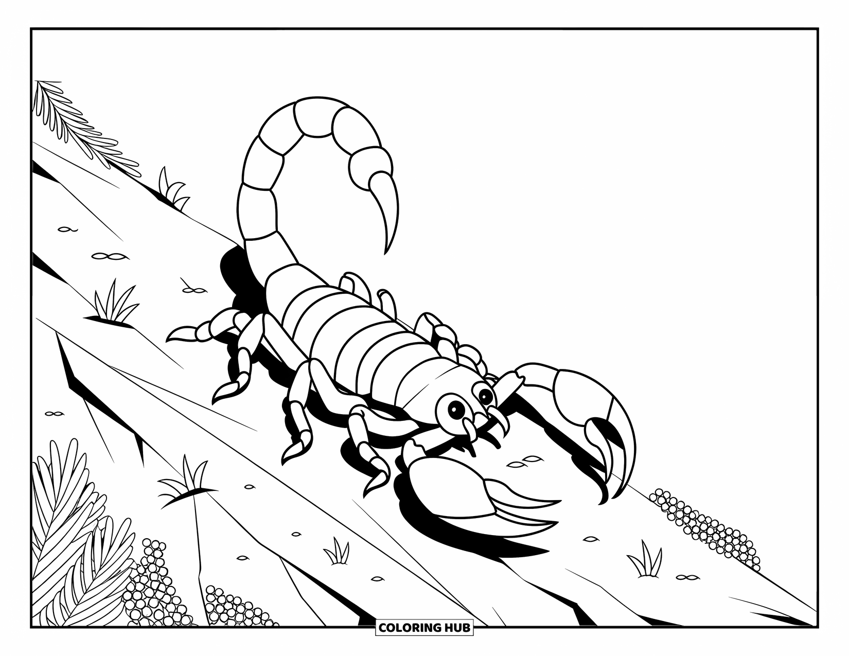 Desert Animals Coloring Page for Kids: Scorpion on cracked rocky ground with small plants