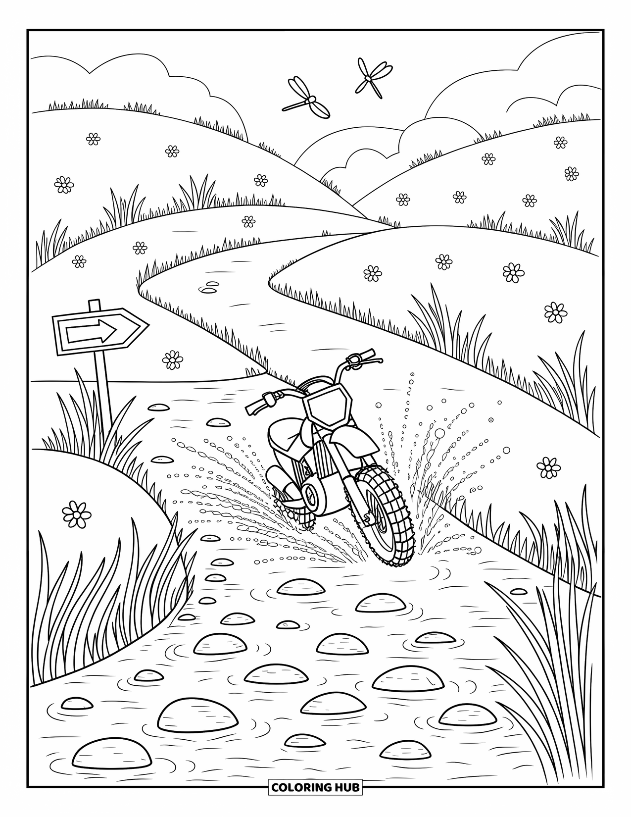 Dirtbike Coloring Page for Adults: A dirtbike splashes through a creek as dragonflies buzz and river rocks scatter