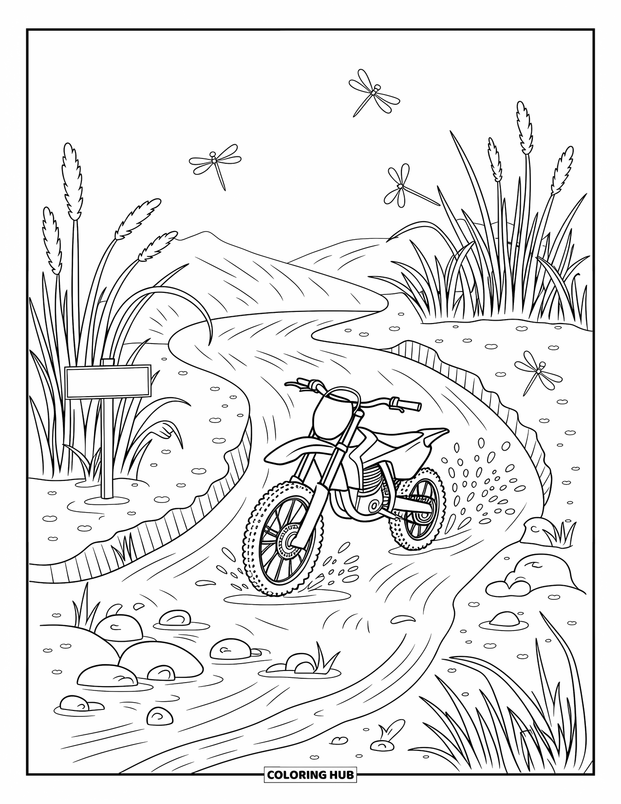 Dirtbike Coloring Page for Adults: Water arcs in the air as a dirtbike crosses a creek beneath tiny dragonflies