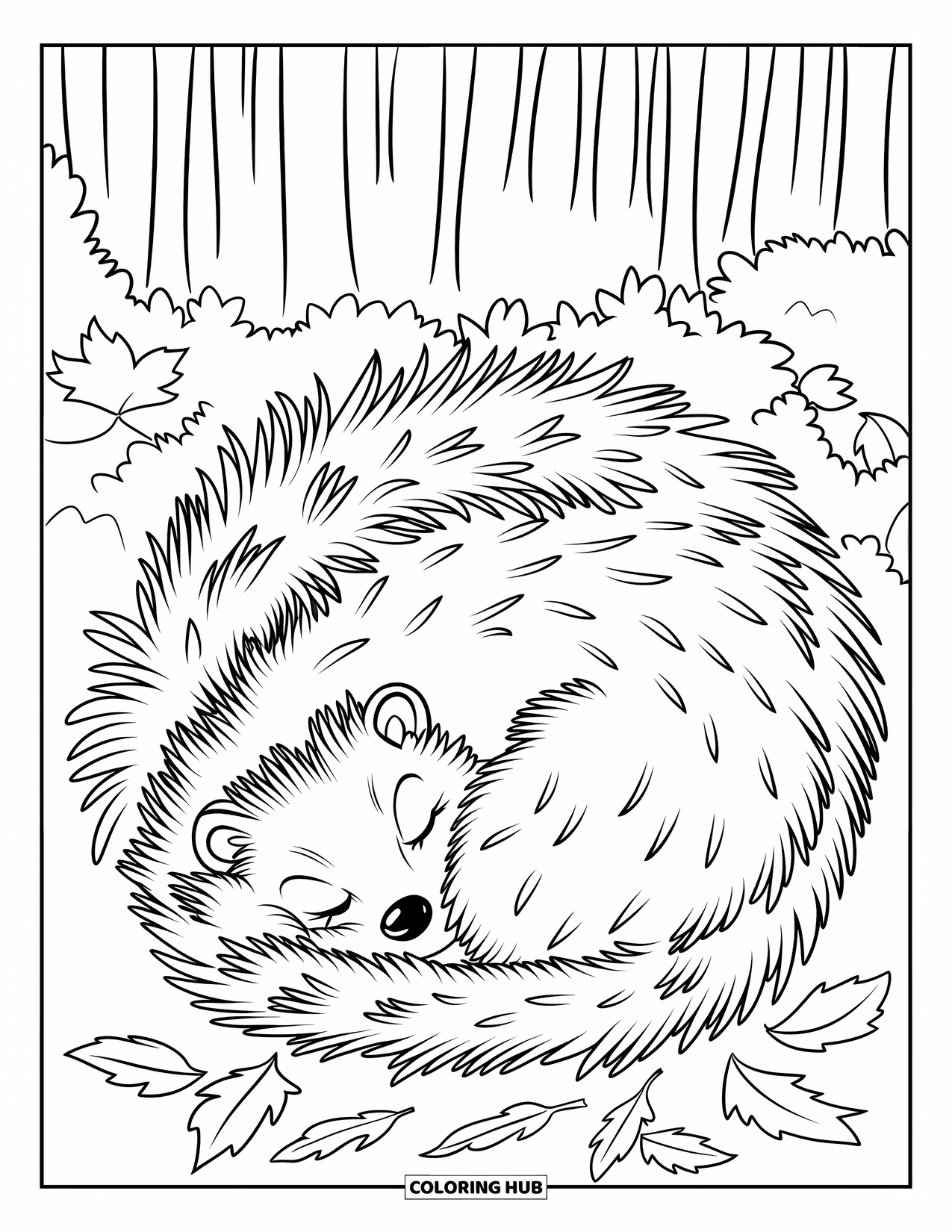 Hibernating Animals Coloring Page for Kids: A hedgehog hibernates curled under leaves in a cozy forest nest