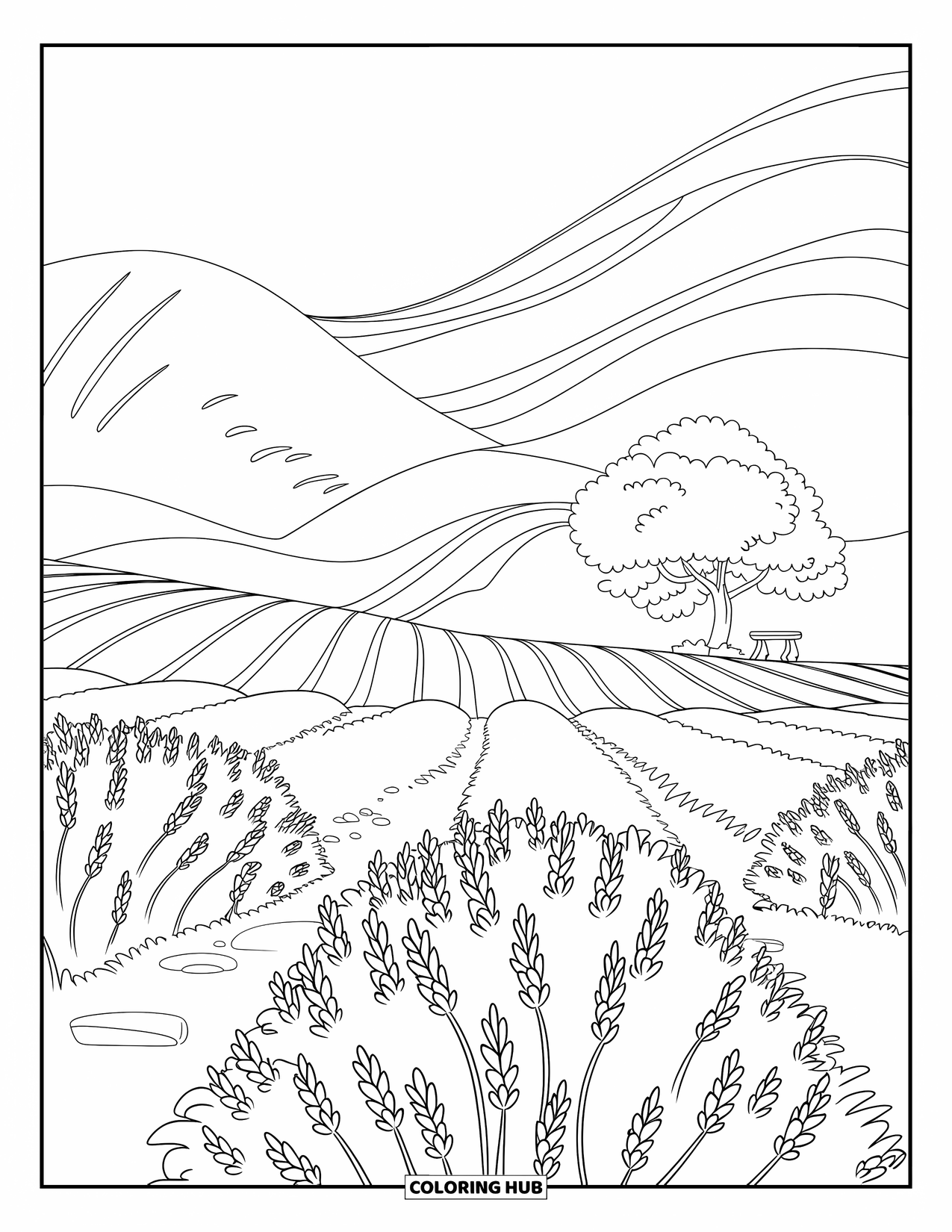 Landscape Scenery Coloring Page for Kids: A lavender field with winding paths, breezy lines, and soft hills beyond