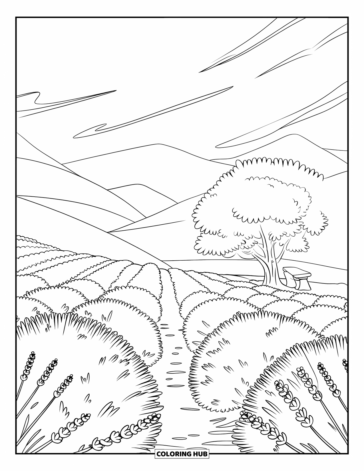 Landscape Scenery Coloring Page for Kids: Lavender rows stretch toward rolling hills under swirling wind patterns