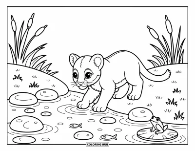 Kleurplaat van een poema voor volwassenen: Een welpje speelt in rustig water met keitjes, visjes en een kikker dichtbij