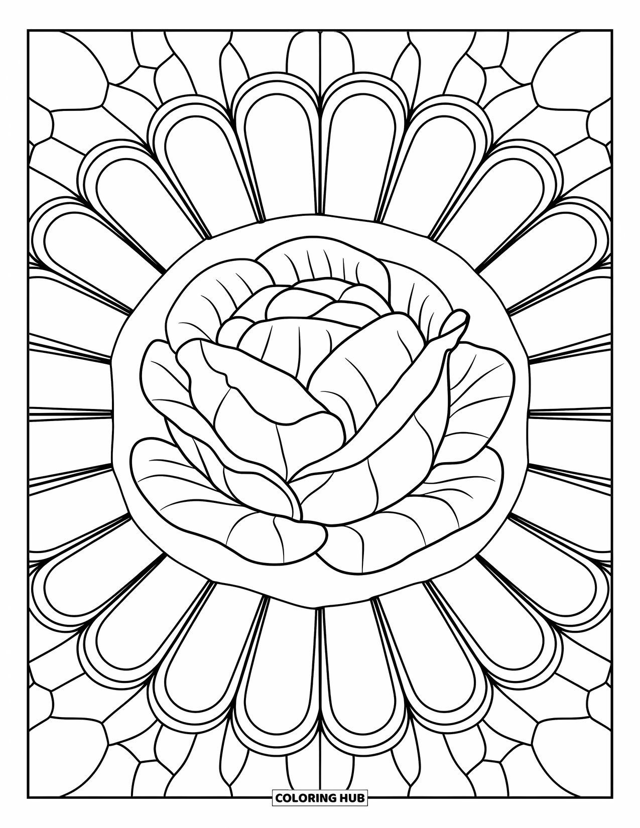 Nutrition Coloring Page for Adults: Cabbage sits in the center of a symmetrical pattern of glassy petals