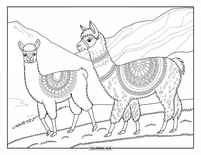 Coloriage du Pérou pour adultes : Des alpagas et des lamas broutent avec des manteaux à motifs et des panoramas montagneux tout autour