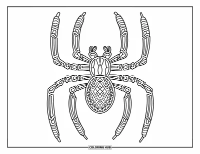 Coloriage du Pérou pour adultes : Les lignes de Nazca représentent un singe, une araignée et un colibri dans le désert