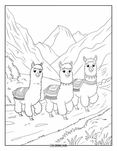 Coloriage du Pérou pour enfants : Des alpagas duveteux se promènent devant de la végétation et des rochers dans les hautes terres