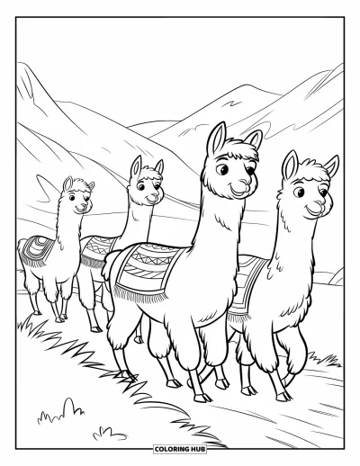 Coloriage du Pérou pour enfants : Trois alpagas marchent sur un sentier de montagne avec des couvertures colorées sur le dos