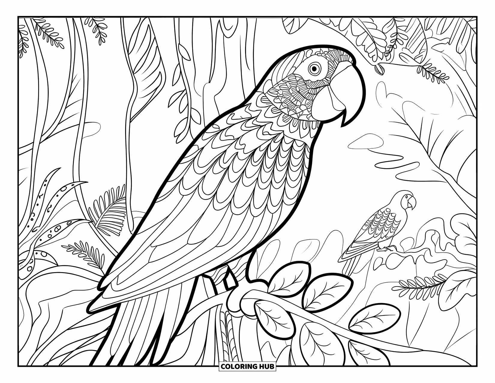 Puerto Rico Coloring Page for Adults: A Puerto Rican parrot perches among lush rainforest trees and curling vines