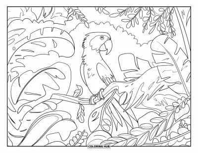 Coloriage de Porto Rico pour adultes : Un perroquet de Porto Rico perché sur une branche sous de grands arbres et des fougères